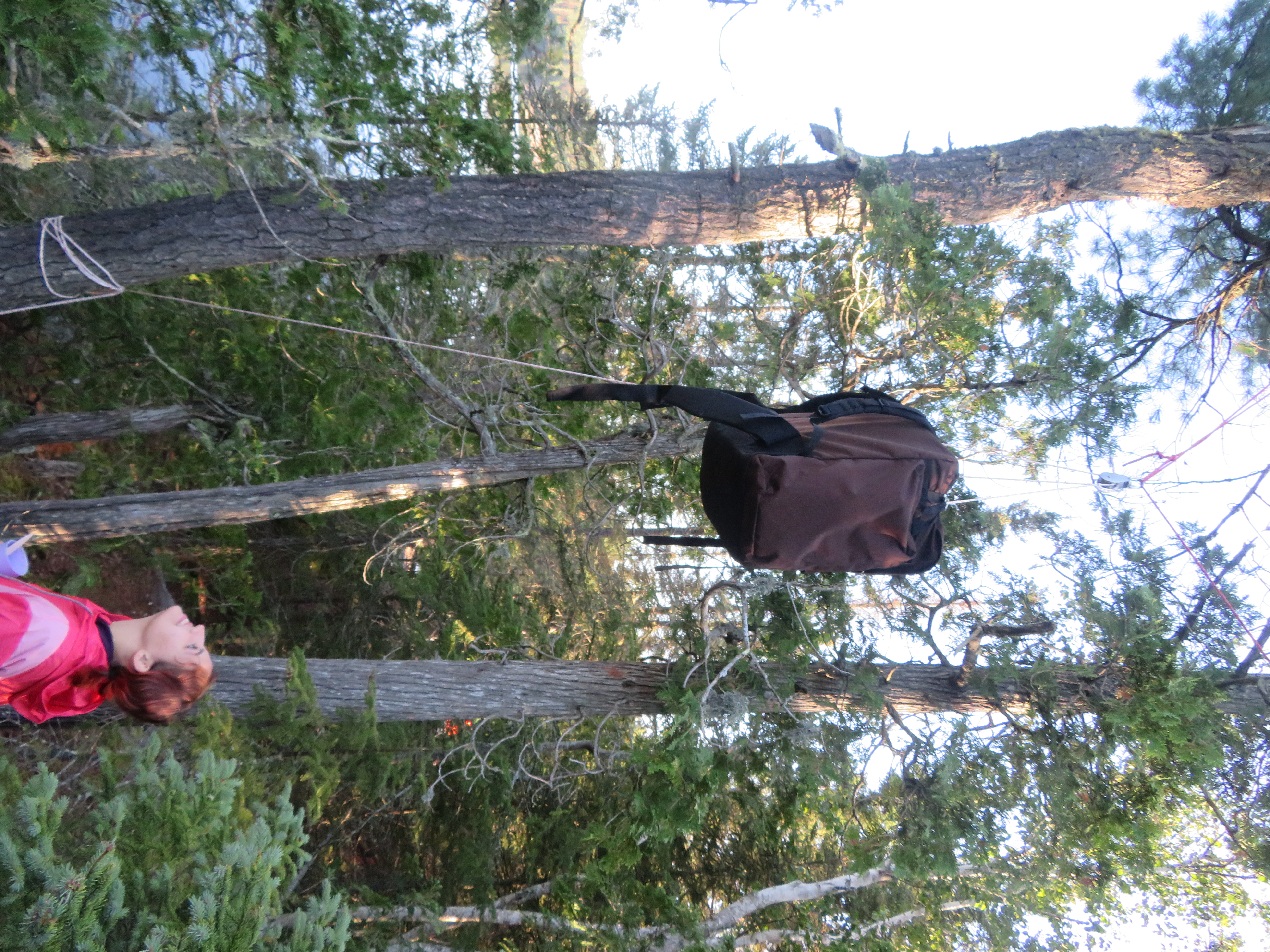 Hanging bear bags